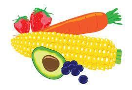 Worksheet: The Story of Food | EVS for Class 3