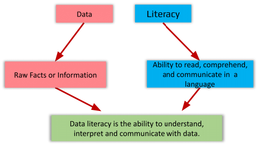 Data Literacy Chapter Notes | Artificial Intelligence (AI) for Class 9