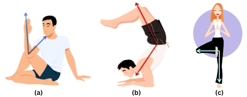 Olympiad Notes: Angles | Math Olympiad for Class 5