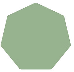 Olympiad Notes: Understanding Geometrical Shapes | Science Olympiad for Class 5