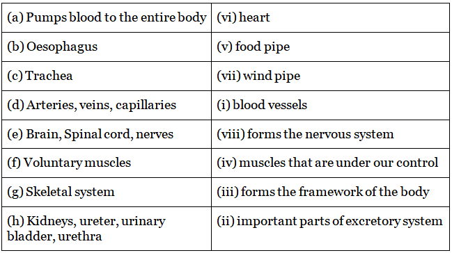 Lakhmir Singh & Manjit Kaur Solutions: Skeletal & Nervous System | Lakhmir Singh & Manjit Kaur Solutions: Class 5 Science