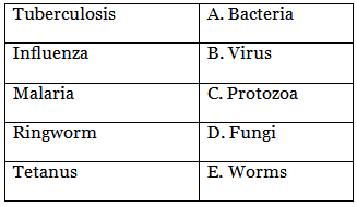 Food, Nutrition, Health and Diseases - 2 Class 5 Worksheet Science