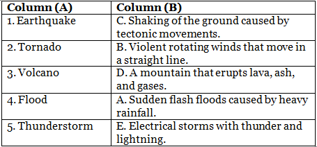 Natural Calamities - 2 Class 5 Worksheet Science