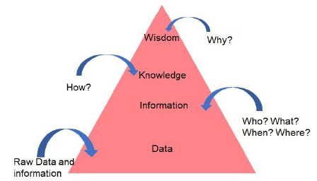 Data Literacy Chapter Notes | Artificial Intelligence (AI) for Class 9