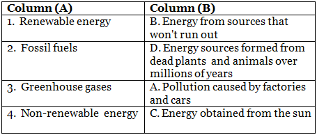 Q3: Match the Column.