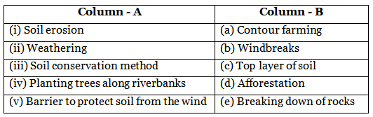 Soil Erosion And Conservation - 1 Class 5 Worksheet Science