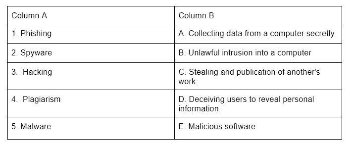 Worksheet Solutions: Cyber Ethics | Computer Application: Class 10