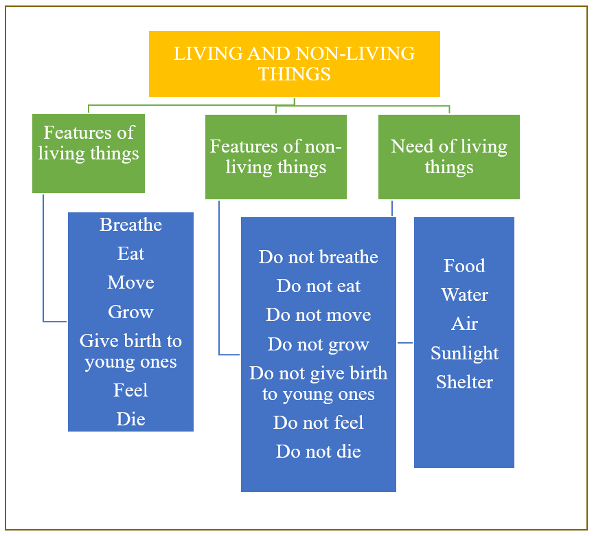 Differences between Living & Non-Living things | Science Class 5