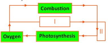 Science Olympiad Previous Year Questions - 3 | Science Olympiad for Class 5