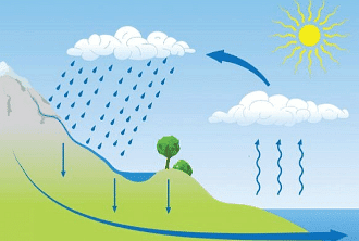 Q1: Multiple Choice Questions.
