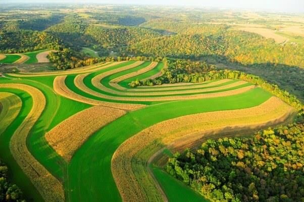 Fig: Contour Ploughing