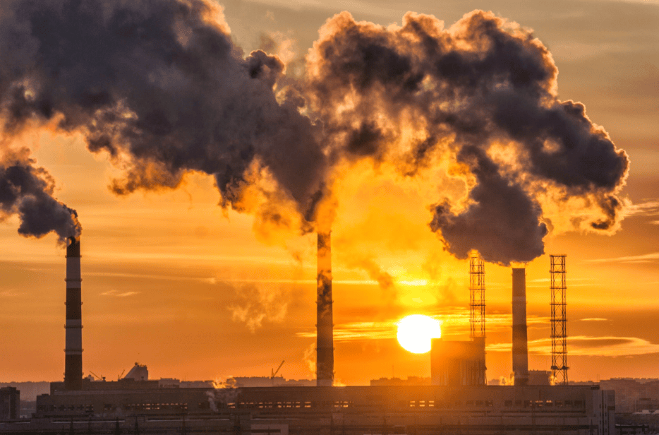 Olympiad Notes: Natural Resources | Science Olympiad for Class 5