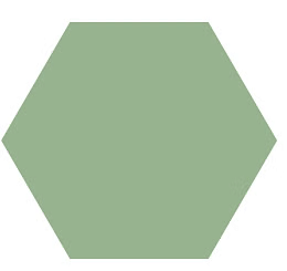 Olympiad Notes: Understanding Geometrical Shapes | Science Olympiad for Class 5