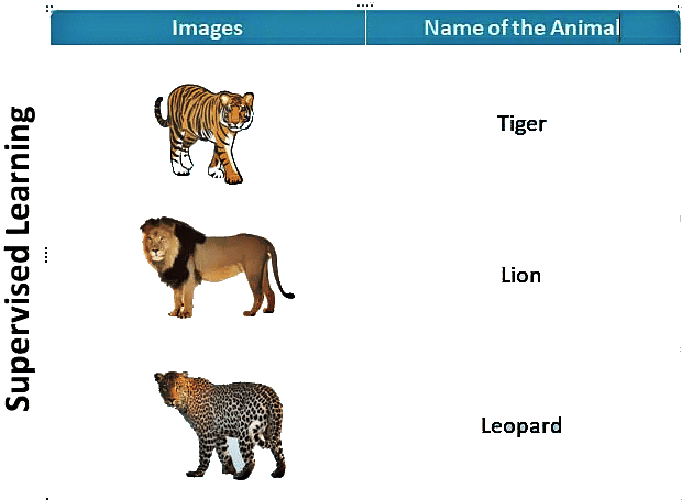 Neural Network | Artificial Intelligence for Class 10