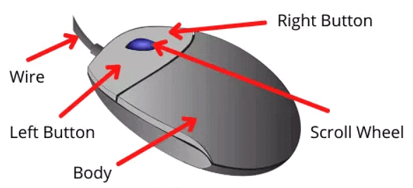 Basic ICT Skills - Class 10 PDF Download