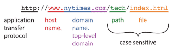 Internet Basics Chapter Notes | Computer Application: Class 10