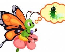 Q6: Multiple Choice Questions (MCQs).