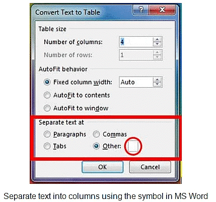 Working with Tables in Digital Documents - Class 10
