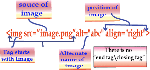 HTML Basics Chapter Notes | Computer Application: Class 10