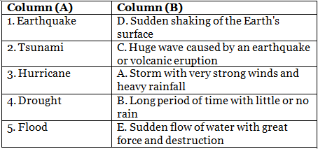 Class 5 Science - Natural Calamities - CBSE Worksheets Solutions - 1