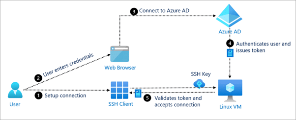 Internet Protocol: Revision Notes - Class 10