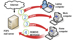 Internet Protocol: Revision Notes - Class 10