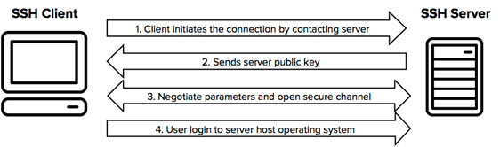 Internet Protocol Chapter Notes | Computer Application: Class 10