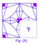Science Olympiad Previous Year Questions - 2 | Science Olympiad for Class 5