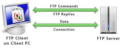 Internet Protocol Chapter Notes | Computer Application: Class 10