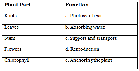 Class 5 Science - Plant Life - CBSE Worksheets Solutions - 2