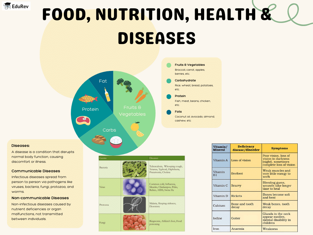Poster: Food, Nutrition, Health & Diseases | Science Class 5