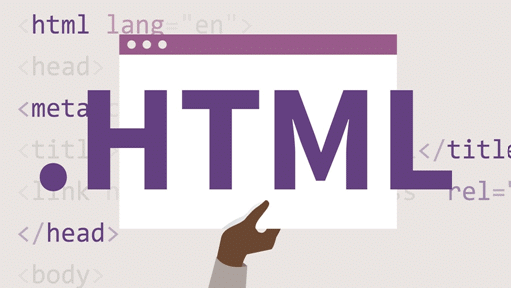 HTML Basics: Revision Notes - Class 10