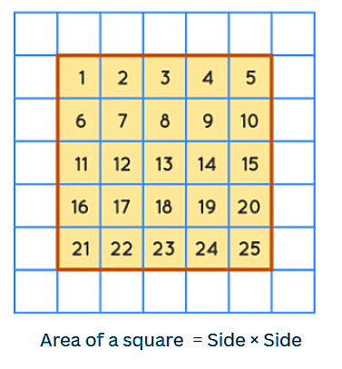 Olympiad Notes: Geometrical Shapes and Solids | Math Olympiad for Class 5