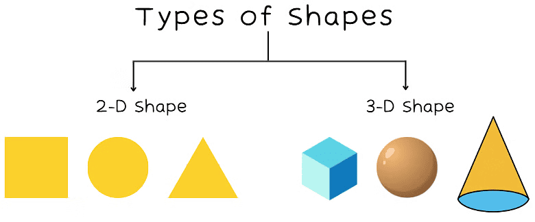 Olympiad Notes: Understanding Geometrical Shapes | Science Olympiad for Class 5