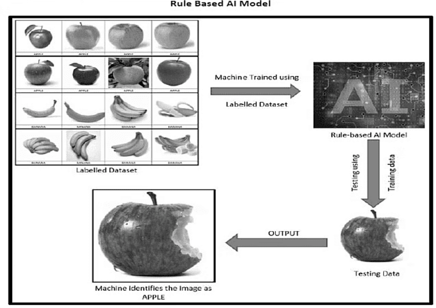 Data Modelling | Artificial Intelligence for Class 10