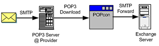 Internet Protocol Chapter Notes | Computer Application: Class 10