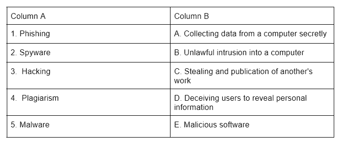 Worksheet: Cyber Ethics | Computer Application: Class 10