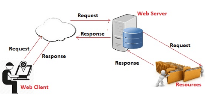 Internet Basics Chapter Notes | Computer Application: Class 10