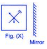 Science Olympiad Previous Year Questions - 1 | Science Olympiad for Class 5