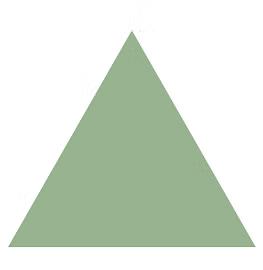 Olympiad Notes: Understanding Geometrical Shapes | Science Olympiad for Class 5