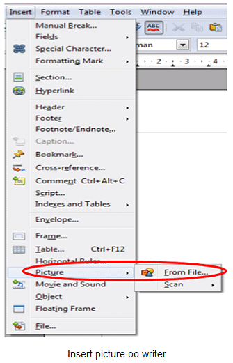 Insert & Use images in document - Class 10