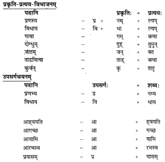 अनुवाद - गोदोहनम् | Chapter Explanation | संस्कृत कक्षा 9 (Sanskrit Class 9)