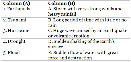 Class 5 Science - Natural Calamities - CBSE Worksheets Solutions - 1