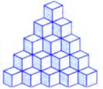Science Olympiad Previous Year Questions - 1 | Science Olympiad for Class 5