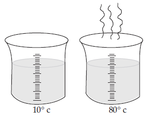 Science Olympiad Previous Year Questions - 1 | Science Olympiad for Class 5