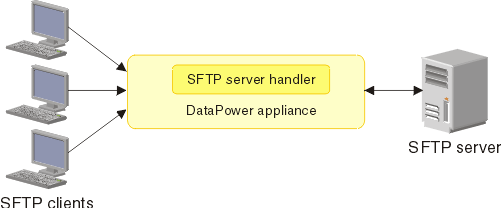 Internet Protocol Chapter Notes | Computer Application: Class 10