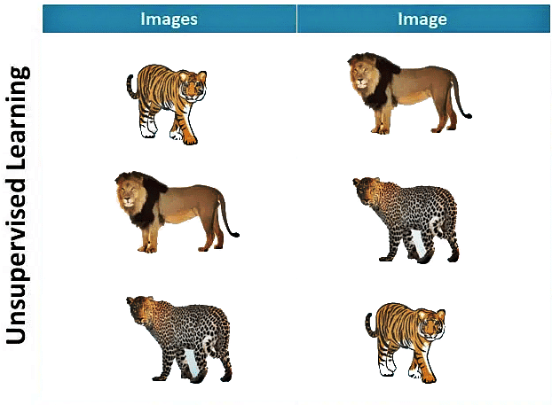 Neural Network | Artificial Intelligence for Class 10