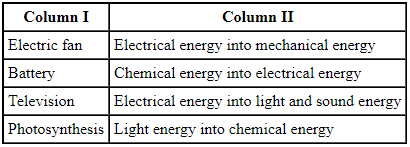 Science Olympiad Previous Year Questions - 3 | Science Olympiad for Class 5