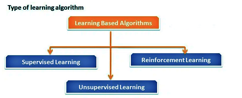 Neural Network | Artificial Intelligence for Class 10