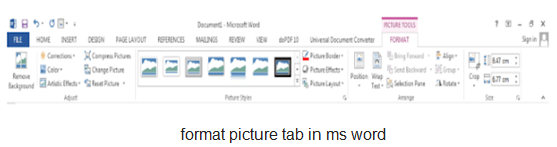 Insert & Use images in document - Class 10
